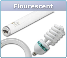 Flourescent Bulbs